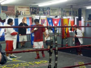 Wildcard Boxing Club - Revisión de Gimnasio